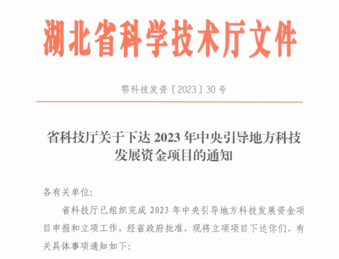 NG28-不凡成就非凡,相信品牌的力量